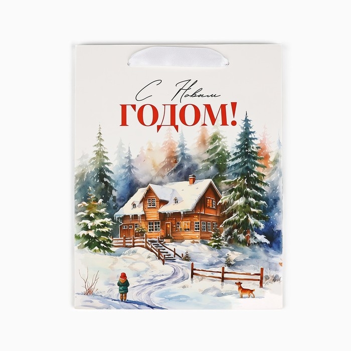 Пакет подарочный новогодний ламинированный &laquo;Зимний лес&raquo;, деревня, MS 18 х 23 х 10 см , Новый год