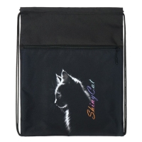 Мешок для обуви с карманом 480 х 390 мм, Stavia (плотность 600D с водоотталкивающей ПУ-пропиткой) Shiny cat