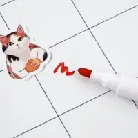 Магнитный планер А4 и стирающийся маркер "Котики"