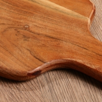 Доска разделочная прямоугольная "Черепаха и цветы" дерево манго 41х18 см