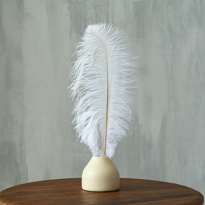 Перо для декора, длина: от 45 до 50 см, цвет белый