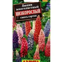 Семена цветов Люпин Низкорослый, смесь сортов Мн, Ц/П,15 шт.