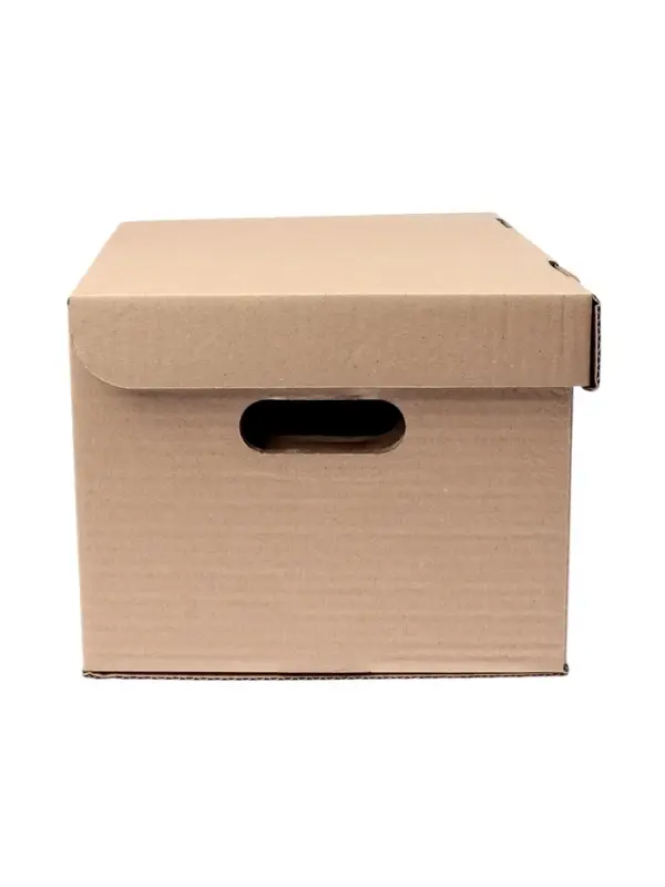 Короб архивный Делопроизводство", 325*235*180, крафт