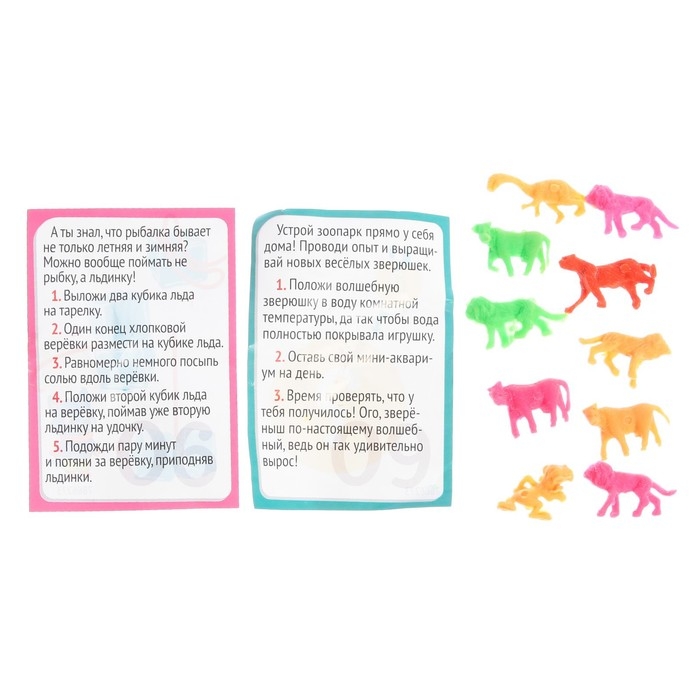 Набор для опытов 13 дней &laquo;Новогодний адвент-календарь&raquo;, 13 опытов