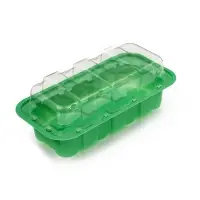 Мини-парник для рассады, 24&times;12&times;11 см, 11 ячеек под таблетки для рассады d=3 см, пластик, Greengo