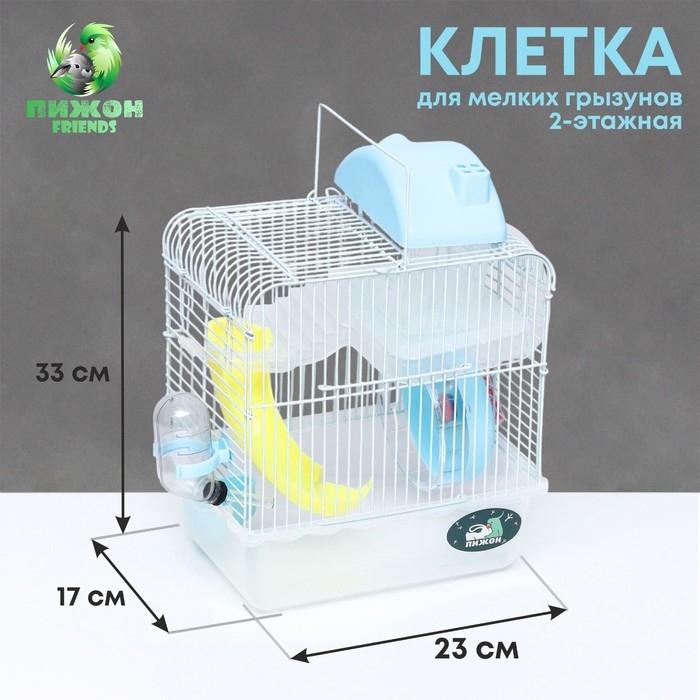 Клетка для грызунов "Пижон", 23 х 17 х 33 см, прозрачная, голубое наполнение