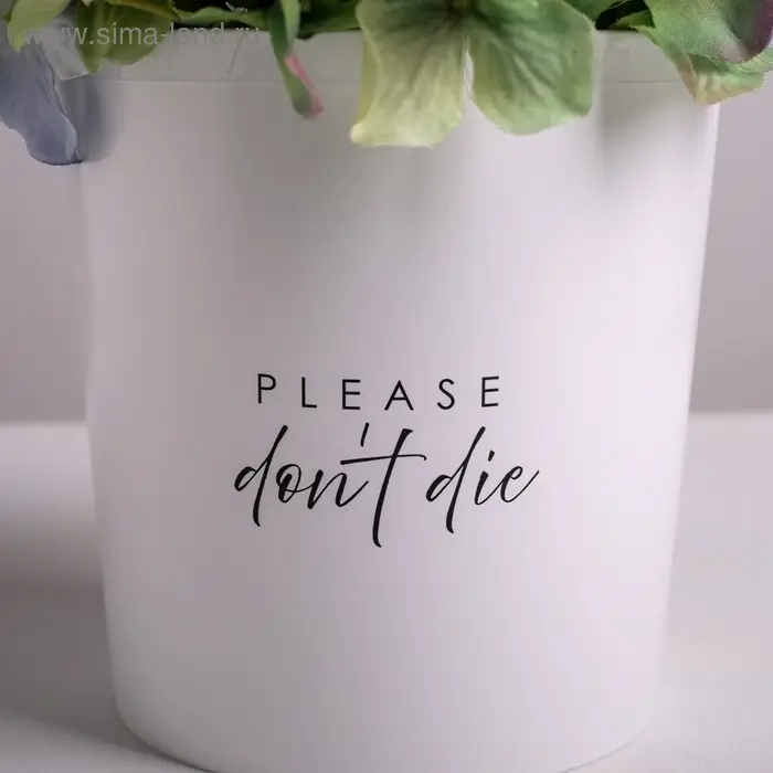 Кашпо для цветов &laquo;Please do not die&raquo;, 1,6 л, 14 х 14 см
