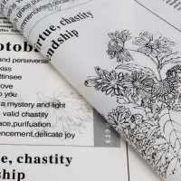 Плёнка матовая &laquo;Флористическая статья&raquo; белый, 57&times;57 см &plusmn;5% см