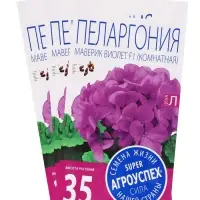 Набор семян комнатных Пеларгония "Виолет", 3 шт.