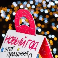 Подарочная коробка &laquo;Снегири&raquo;, 17.2&times;9.5&times;24 см