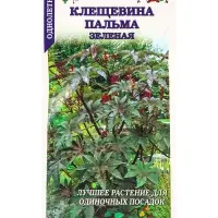 Семена Клещевина Пальма зеленая занзибарская /Сотка/ 3шт/ h-250см/*500