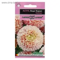 Семена цветов Астра "Леди Корал бежевая", ц/п,  однолетняя, серия Эксклюзив,  0,05 г