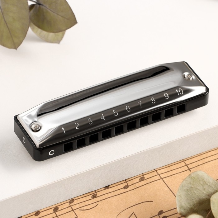 Губная гармошка Music Life T002 C диатоническая, 10 отверстий, с футляром