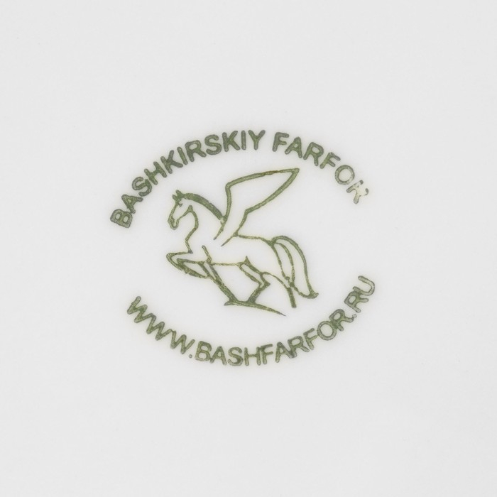 Набор для чая фарфоровый &laquo;Практик&raquo;, 2 предмета: чайник 400 мл с подогревом