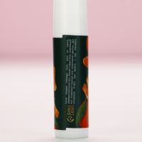 Бальзам для губ, 10 г, аромат мандарина, Новый Год