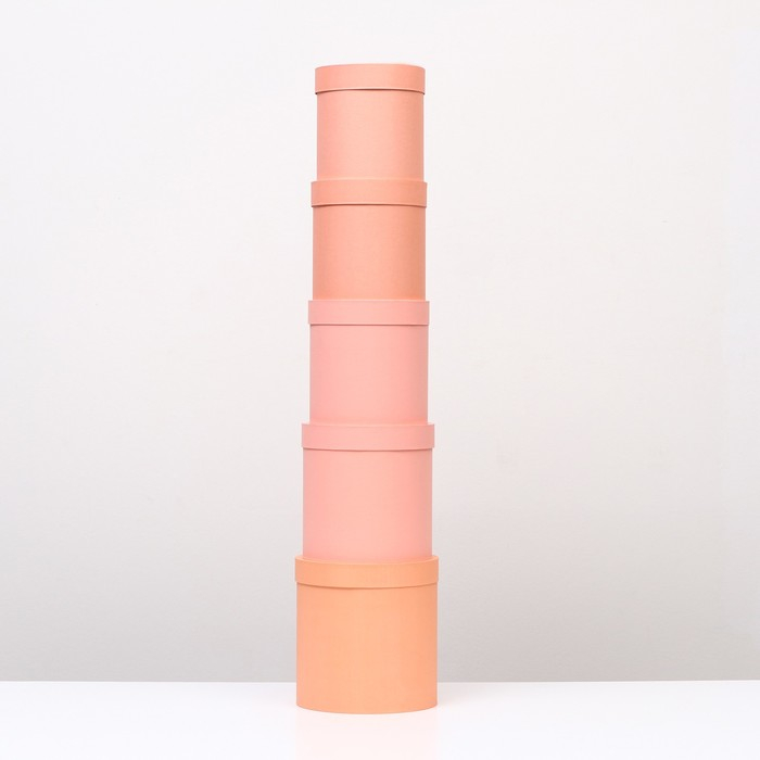 Набор круглых коробок 5 в 1 "Краски", персиковый, 25 х 25 х 25 - 19 х 19 х 19 см