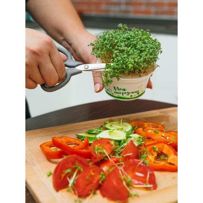 Набор для выращивания &laquo;Моя микрозелень&raquo;, базилик