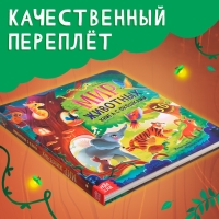 Книга с окошками &laquo;Мир животных&raquo;, 50 окошек