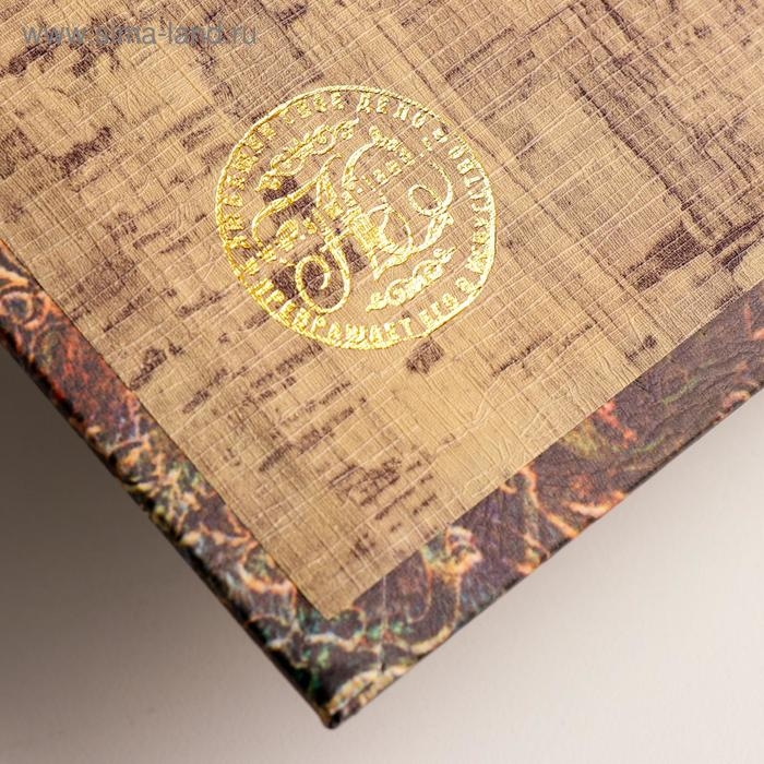 Сейф дерево книга "Совушка с ключиком" 21х13х5 см