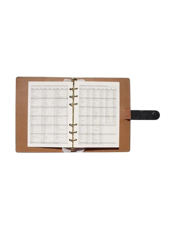 Органайзер на кольцах, C6, с хлястиком, 80л, линия, к/зам, Черный