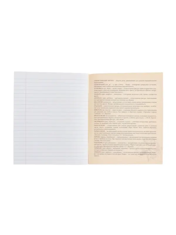 Тетрадь предметная 48 листов в линию, Calligrata &laquo;Доска. Литература&raquo;, обложка мелованный картон