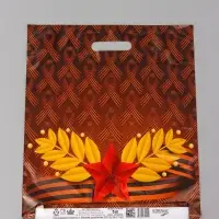 Пакет подарочный Воля  45 х 38 см 55 мкм