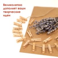 Прищепки декоративные "Классика" (набор 20 штук) 3,5 см, дерево