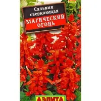 Семена цветов Сальвия Магический огонь , Ц/П,0,1 г