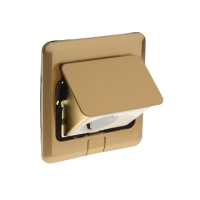 Розетка выдвижная, 16А, одноместная, цвет золотистый