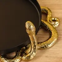 Поднос с бортиками &laquo;Золотая змейка&raquo;, 33&times;24&times;10 см, алюминий, сталь