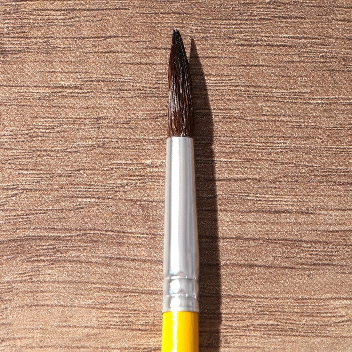 Кисть для рисования набор 6 шт. белка &laquo;Творческая личность&raquo; № 1, 2, 3, 4, 5, 6