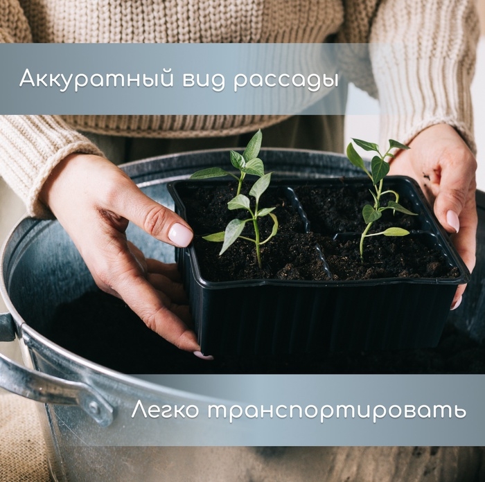 Кассета для рассады, 10 ячеек по 100 мл, набор 5 шт., чёрная