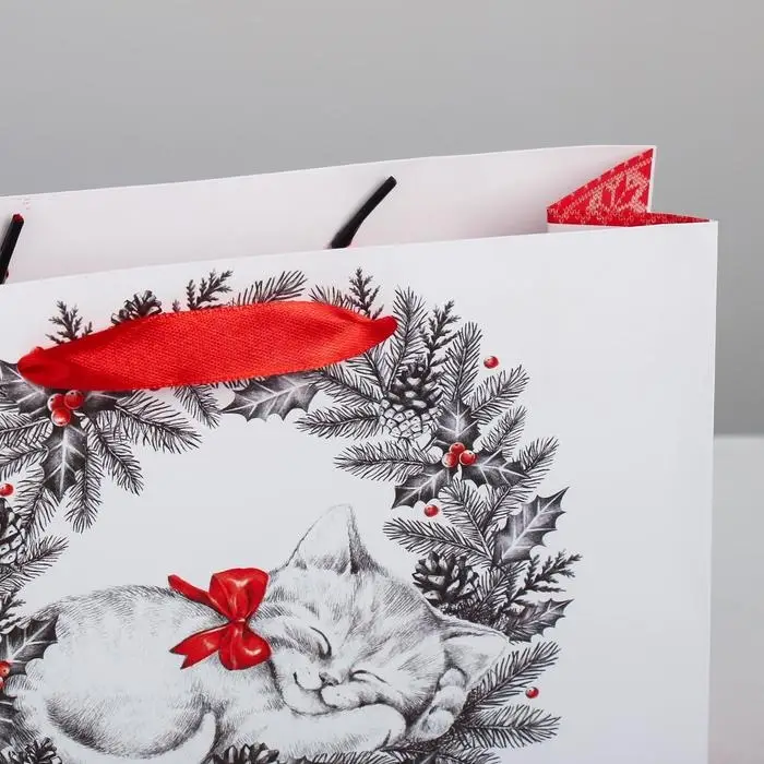 Пакет ламинированный &laquo;Новогодний котёнок&raquo;, MS 23 х 18 х 8 см