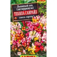Семена цветов Львиный зев Текила санрайз, смесь окрасок , Ц/П,0,1 г