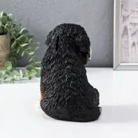 Копилка  Щенок Зенненхаунда Берни Высота 17*13*18 см