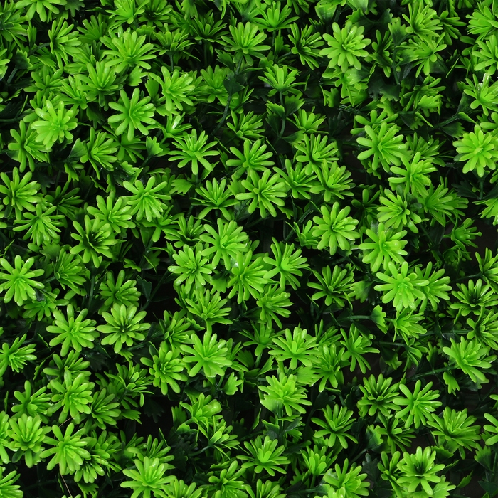 Декоративная панель, 50 &times;50 см, &laquo;Высокий мох&raquo;, Greengo