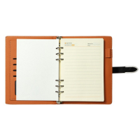 Органайзер на кольцах А5, 90 листов в линейку, с хлястиком, МИКС