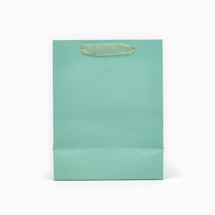 Пакет ламинированный вертикальный &laquo;Поздравляю&raquo;, MS 18 х 23 х 10 см