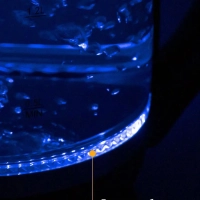 Чайник электрический стеклянный с подсветкой КТ-655 - 2 л