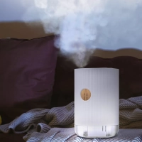 Увлажнитель воздуха для дома КТ-2898 - 7 Вт