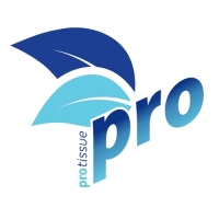 Полотенца бумажные V-сложения PROtissue С197, 2 слоя, 200 листов