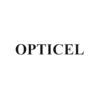 Батарейка алкалиновая OPTICELL PROFESSIONAL, AA, LR06-4BL, 1.5В, блистер, 4 шт