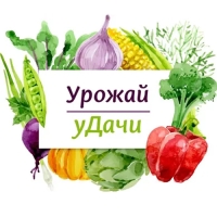 Семена цветов Фрезия гибридная "БАРХАТНЫЙ ЗВОН", смесь, 0,04 г