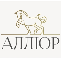 Бирка для ключей АЛЛЮР, пластик, цвет микс