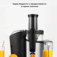 Соковыжималка электрическая центробежная КТ-1138 800 Вт