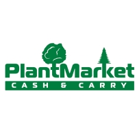 Хоста "American Halo", р-р I, размер L,1 шт, Весна 2025, ЭКОНОМ,