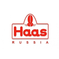 Мультивитамин Haas с апельсиновым вкусом, 20 шипучих таблеток по 4 г., общая масса 80 г.