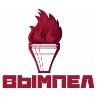 Насос для перекачки жидкости "Вымпел НС", 12/24 В