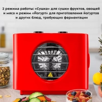 Сушилка для овощей и фруктов КТ-1952 - 300 Вт