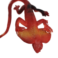 Антистресс игрушка ящерица с жабрами